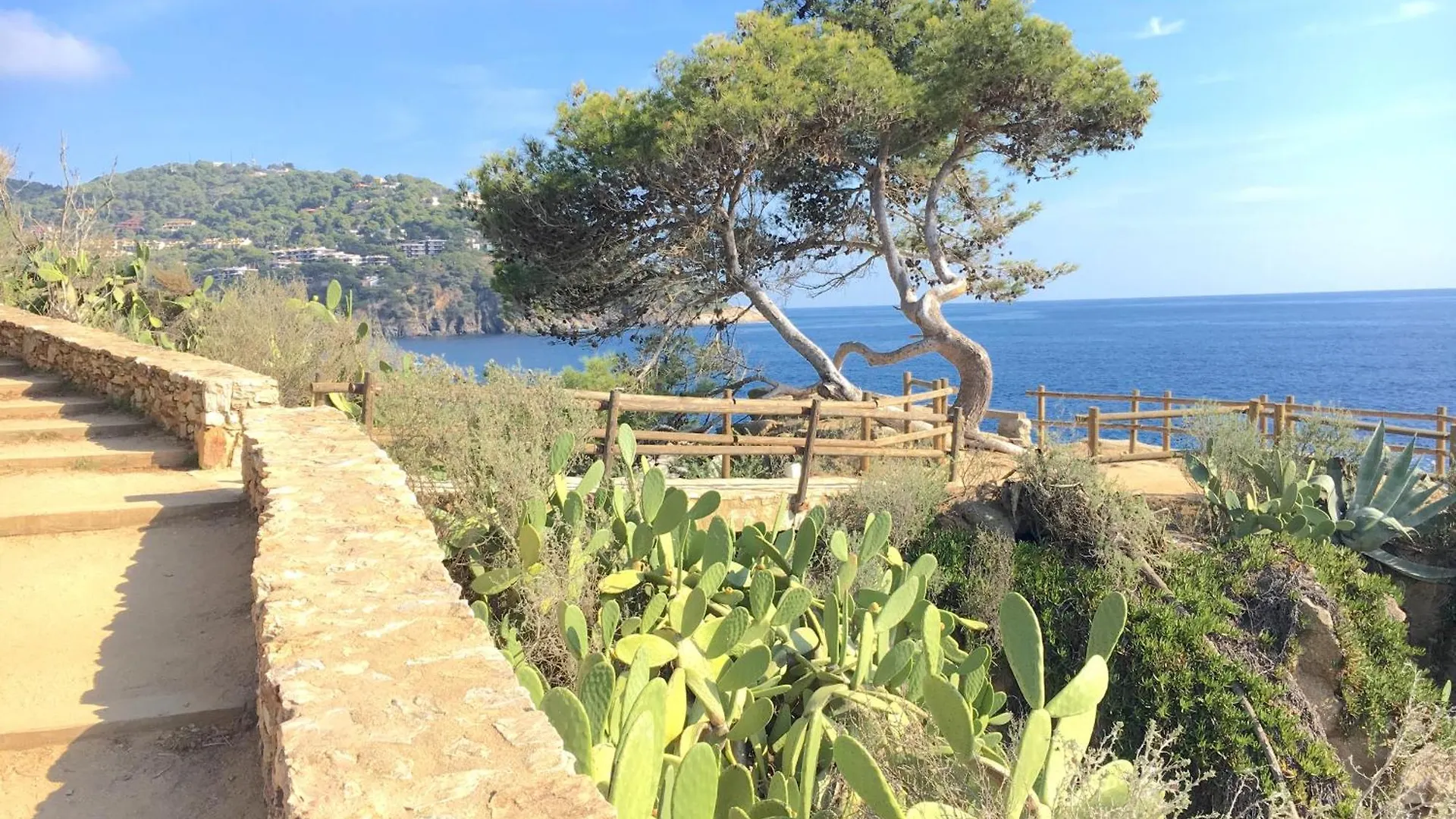 Apartment Sta Rosa1 - Llafranc Spain