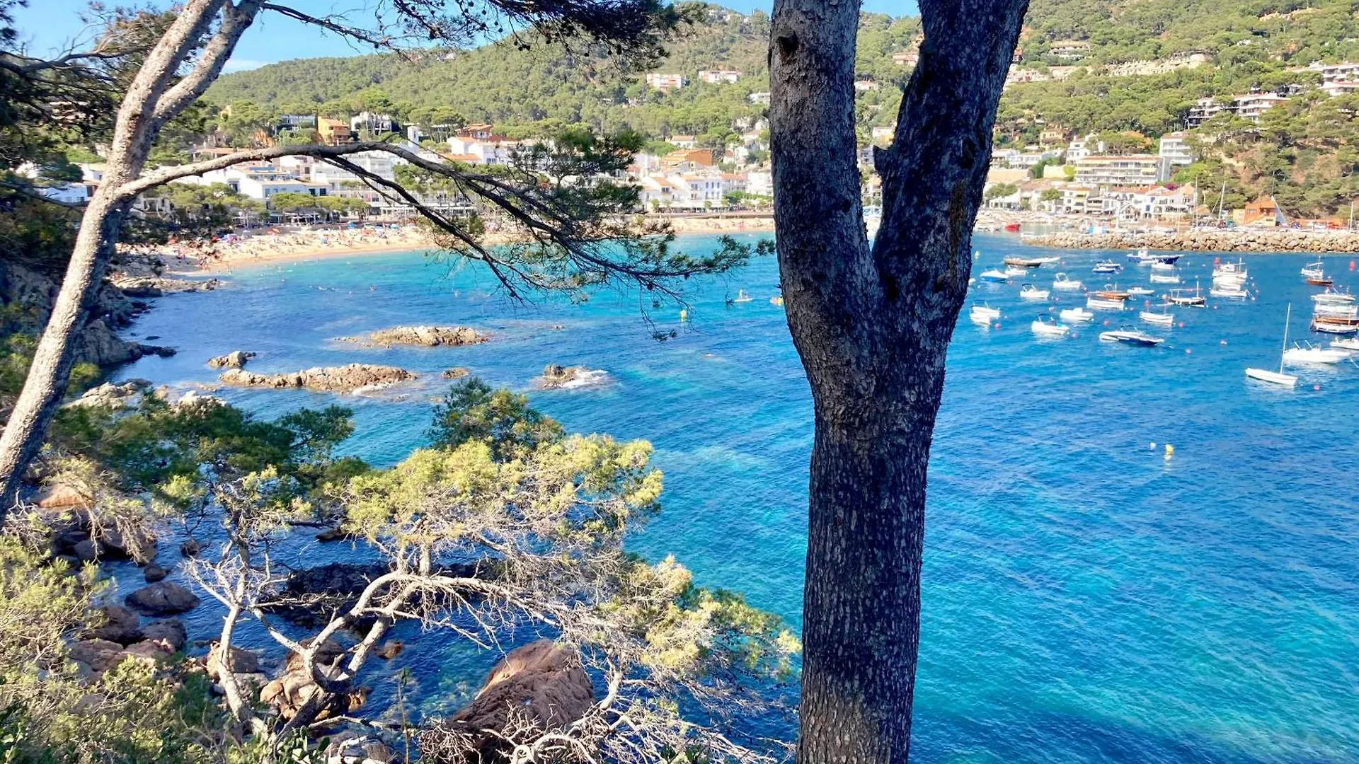 Apartment Sta Rosa1 - Llafranc